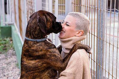 PETS GIVE US EVERYTHING. NOW, IT’S OUR CHANCE TO GIVE BACK