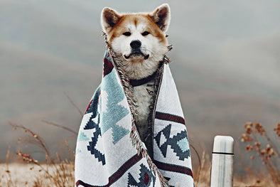 Is your pet ready to get back to nature?