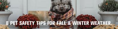 8 Pet Safety Tips for Fall & Winter Weather by Kriser's