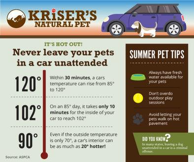 INFOGRAPHIC NEVER LEAVE YOUR PETS UNATTENDED IN A CAR