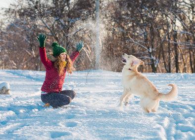 Cold Weather Tips for Dogs
