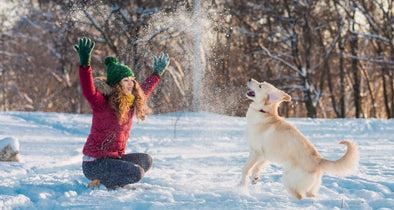 Keeping Your Dog Safe This Winter