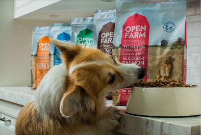 Why We Love Open Farm Pet Food