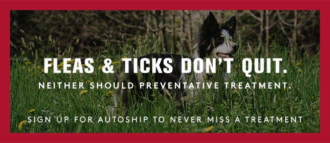 A collie standing in a field of green grass. Fleas & ticks don't quit. Neither should preventative treatments. Sign up for autoship to never miss a treatment.