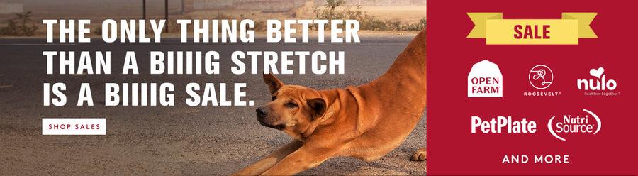 A red orange dog taking a big stretch outside. On the right side there's a red box with logos from Open Farm, Roosevelt, Nulo, Petplate and Nutrisource. The only thing better than a biiiig stretch is a biiiig sale. Shop our Sales