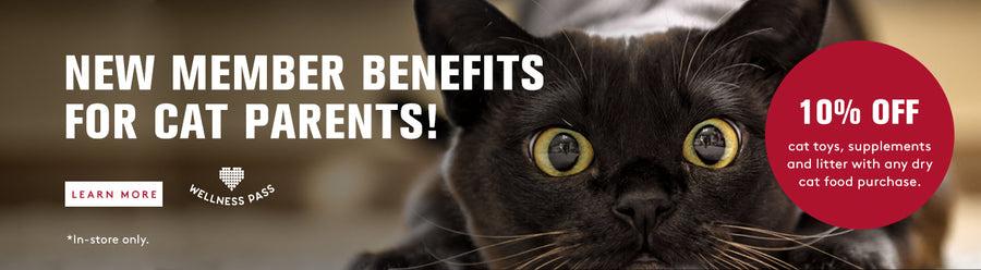 A Black cat with bright yellow eyes. New member benefits for cat parents! 10% Off cat toys, supplements and litter with any dry cat food purchase. - In-store Only