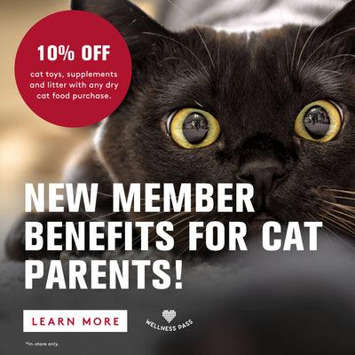 A Black cat with bright yellow eyes. New member benefits for cat parents! 10% Off cat toys, supplements and litter with any dry cat food purchase. - In-store Only