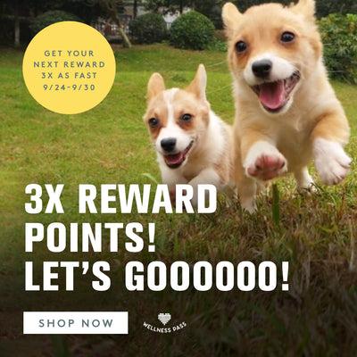Two little puppies running as fast as they can up grass towards the camera. 3X rewards! Let's Goooooo!Get your next reward 3X as fast 9/24-9/30. Shop Now