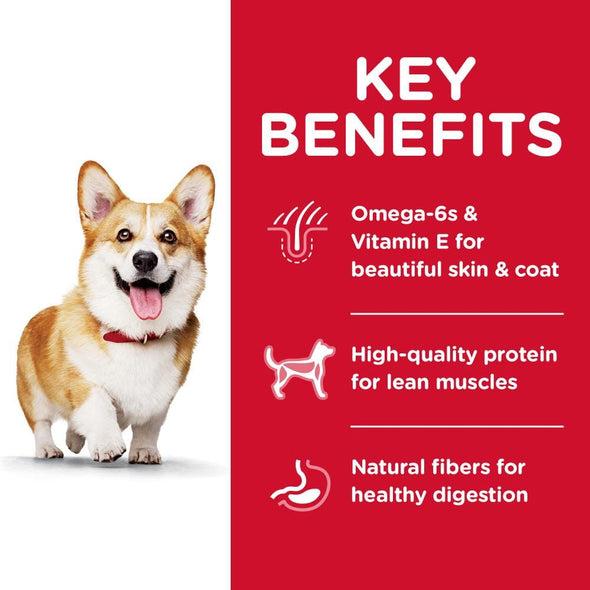 Hill's Science Diet Small Bites Lamb Meal & Brown Rice Recipe Dry Dog Food