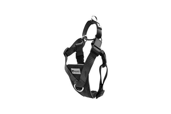 RC Pets Tempo No Pull Harness for Dogs in Black