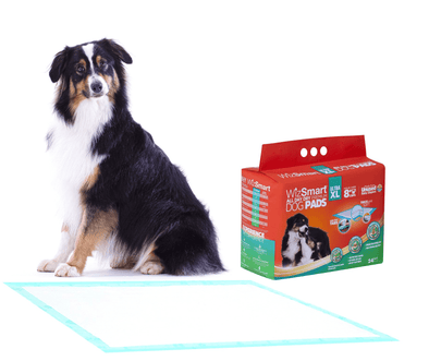 Wizsmart Ultra-XL Pads for Dogs