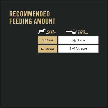 Purina Pro Plan Focus Adult Small Breed Formula Dry Dog Food
