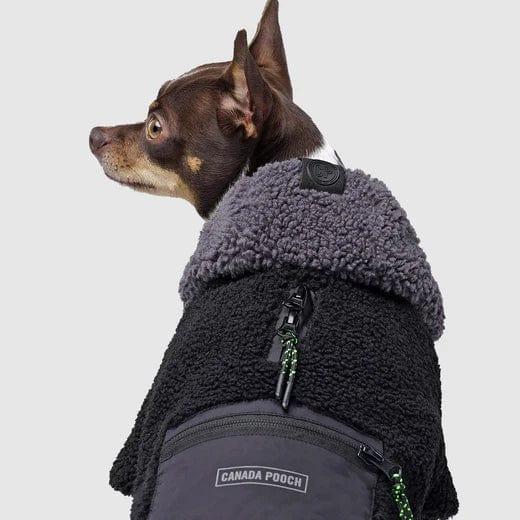 Canada Pooch Cool Factor Hoodie for Dogs in Black and Grey
