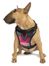 Canada Pooch Everything Harness Water-Resistant Series Pink Plaid Harness for Dogs