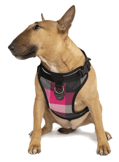 Canada Pooch Everything Harness Water-Resistant Series Pink Plaid Harness for Dogs
