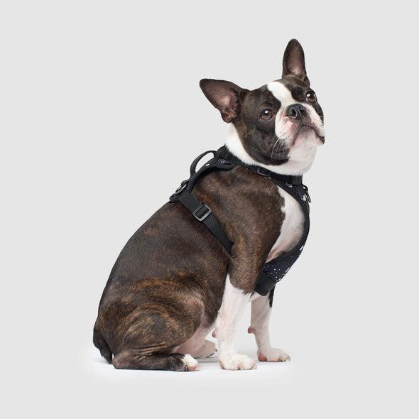 Canada Pooch Everything Harness Water-Resistant Series Splatter Harness for Dogs