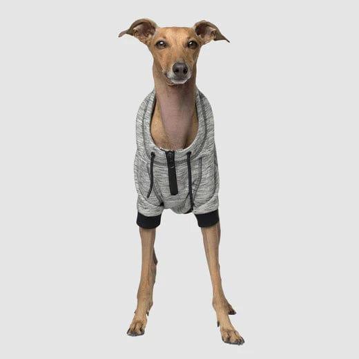 Canada Pooch Hero Hoodie for Dogs in Grey
