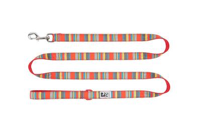 RC Pet Leash for Dogs in Multi Stripes Pattern