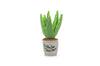 P.L.A.Y. Blooming Buddies Collection Aloe-ve You Plant Toy for Dogs