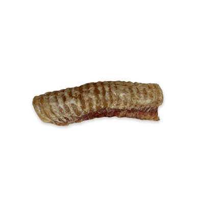 Chasing Our Tails Smoked Beef Trachea Dog Treat
