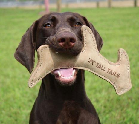 Tall Tails Natural Leather Antler Toy for Dogs