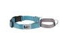 RC Pets Primary Web Training Clip Martingale Collar for Dogs in Teal